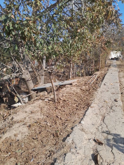 Yer sotiladi 5 sotix