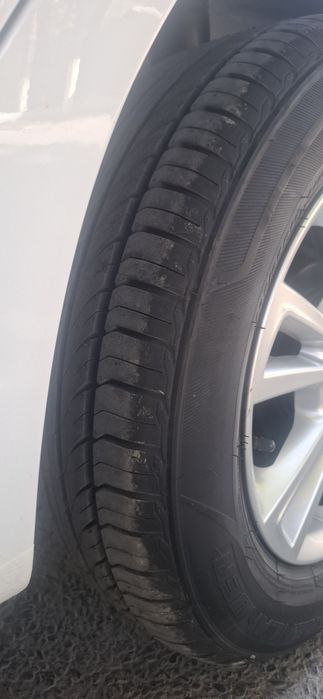 Kobalt stayl at plus tayyor