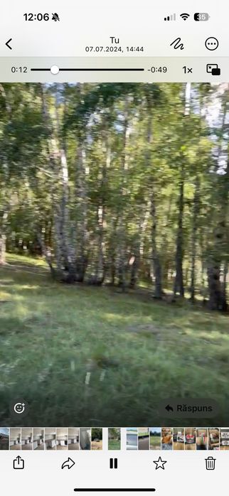 Pășune împădurită