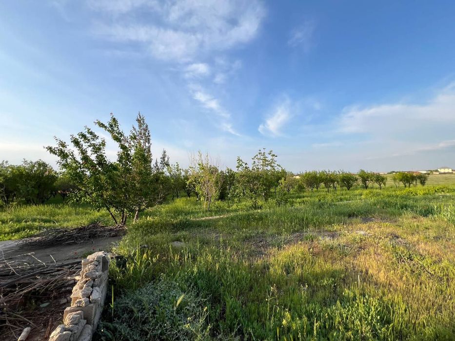 Срочно продаётся земельный участок площадью 1гектар