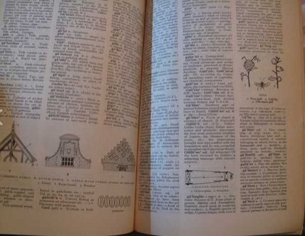 Оксфордски илюстрован речник, Тhe Оxford illustrated dictionary