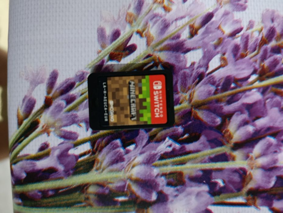 Nintendo switch ca nou