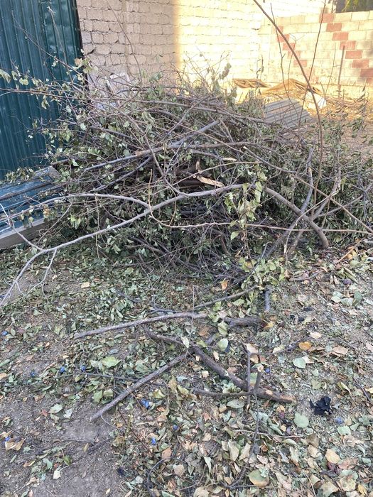 Дрова бесплатно