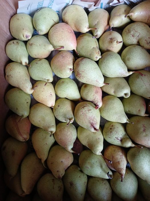 De vanzare Pere cure