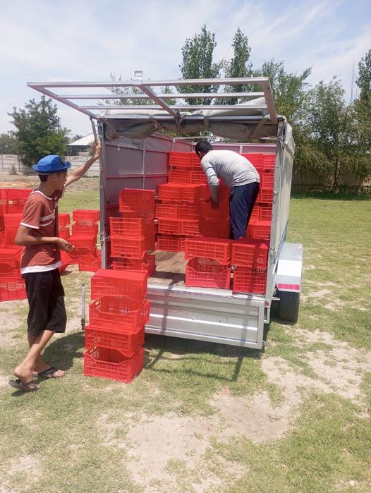 Дамас    присеп    билан