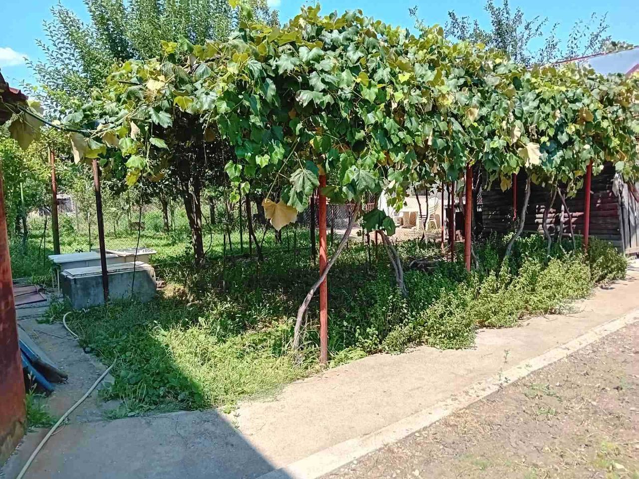 Продава се Етаж от къща в с. Яхиново, Област Кюстендил - 140 кв.м за 614 €/кв.м - Снимка #3