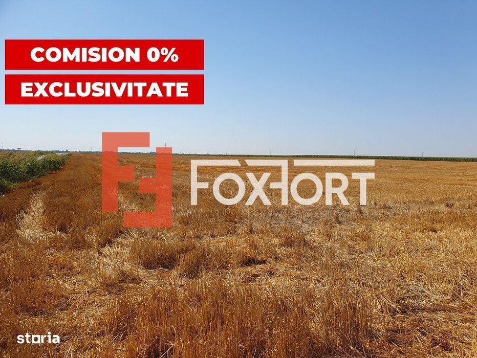 COMISION 0% Teren extravilan 4,47 ha, 800m front stradal, Peciu Nou -