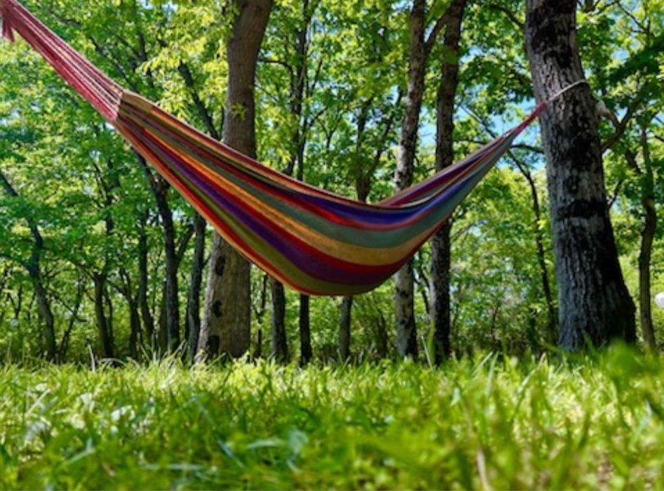 Вила Камелия-  под наем за 20 гости