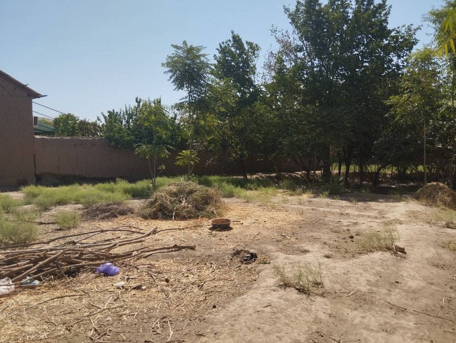 Yer sotiladi Aralovul mahallasi