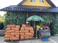 Cartofi naturali, crescuți cu grijă – direct de la fermier