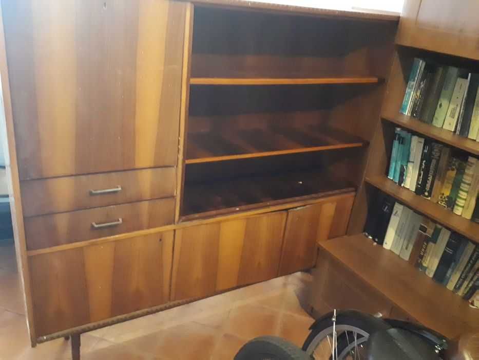 Vitrina, biblioteca cu rafturi depozitare