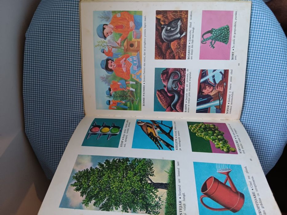 Carte Primul meu dictionar, Albin Stanescu, copii  perioada comunista