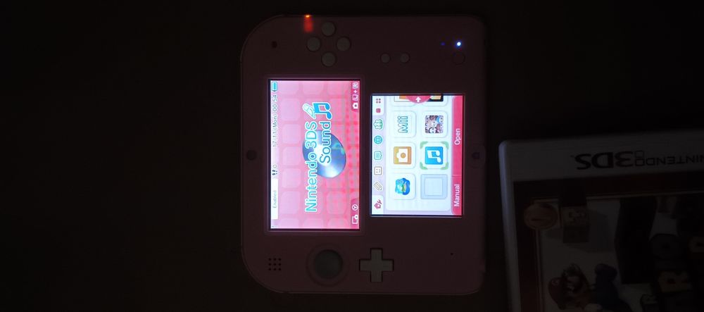 Nintendo 2DS Roz