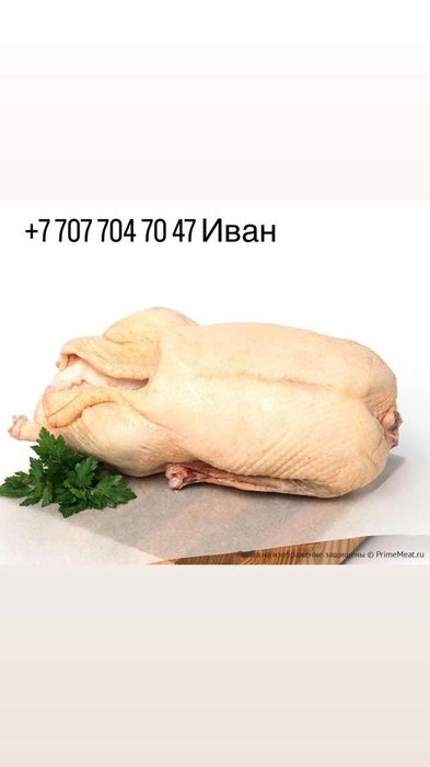 Продам мясо Гуся