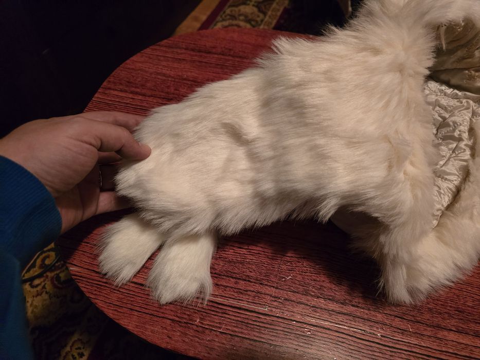 Caciula imblanita dama