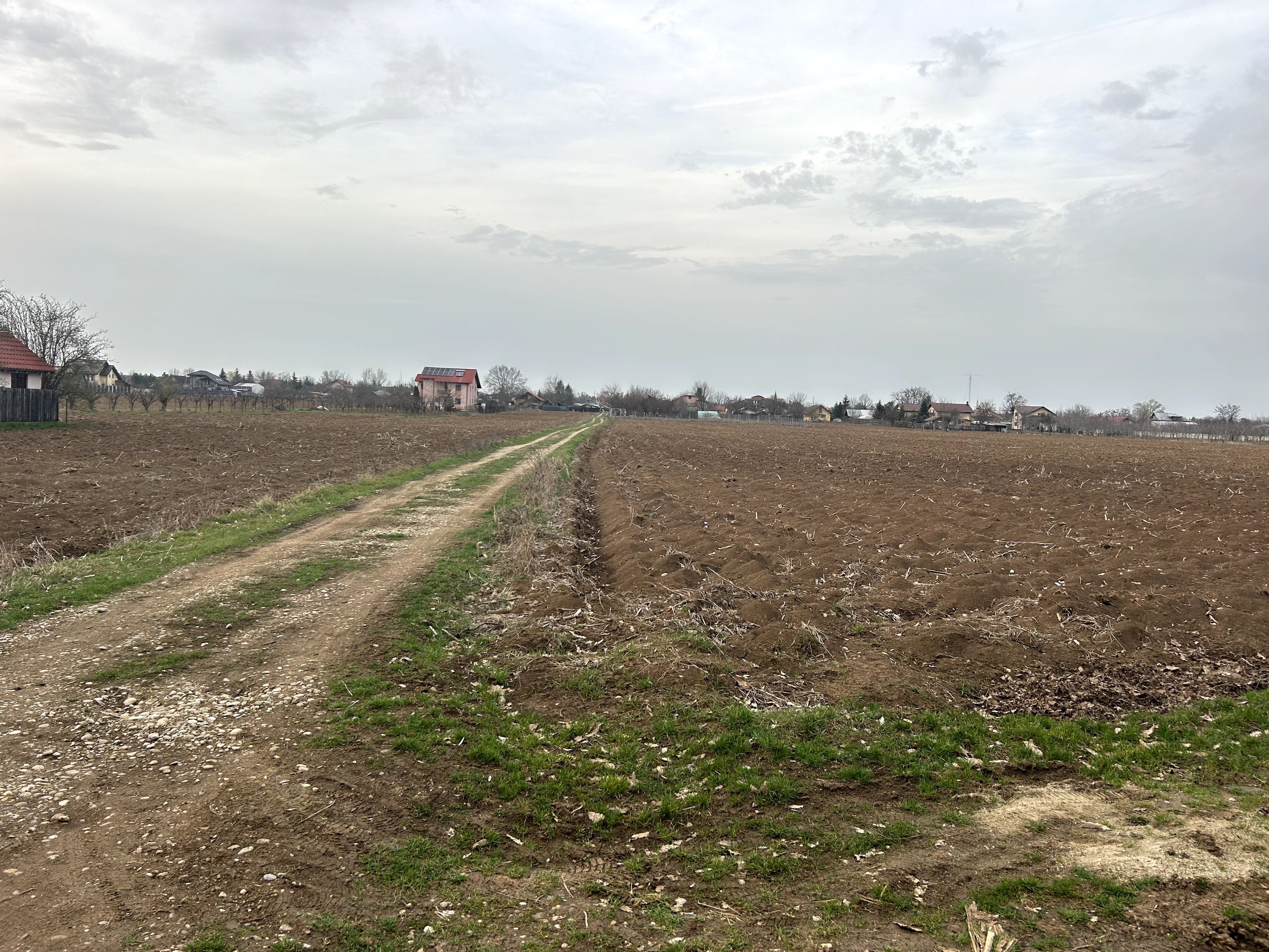 Teren Vladiceasca, langa padure 1110mp(61X18) zona Snagov.