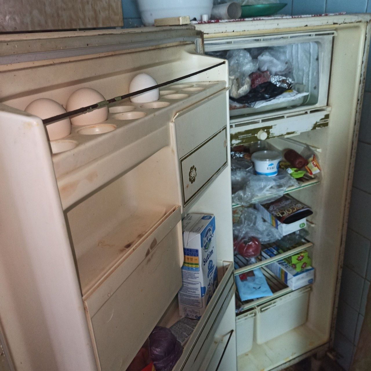 Продается Бруссия