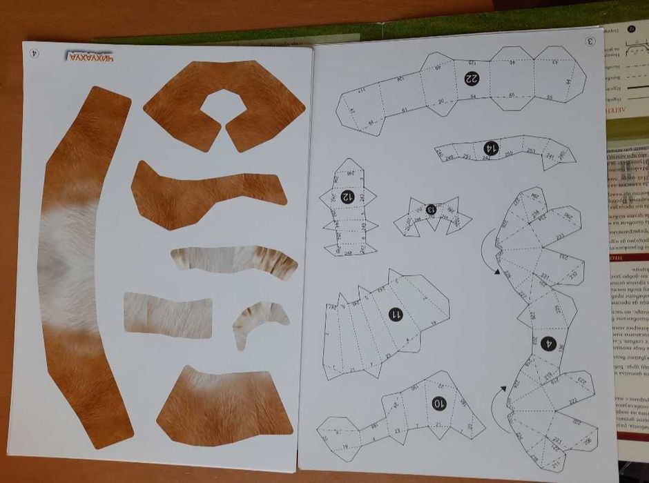 Хартиен макет Чихуахуа