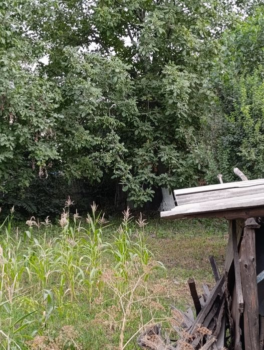 YER SOTILADI 3. SOTIK  Fut sitida 9 km avangart boyqorgon srochna sot