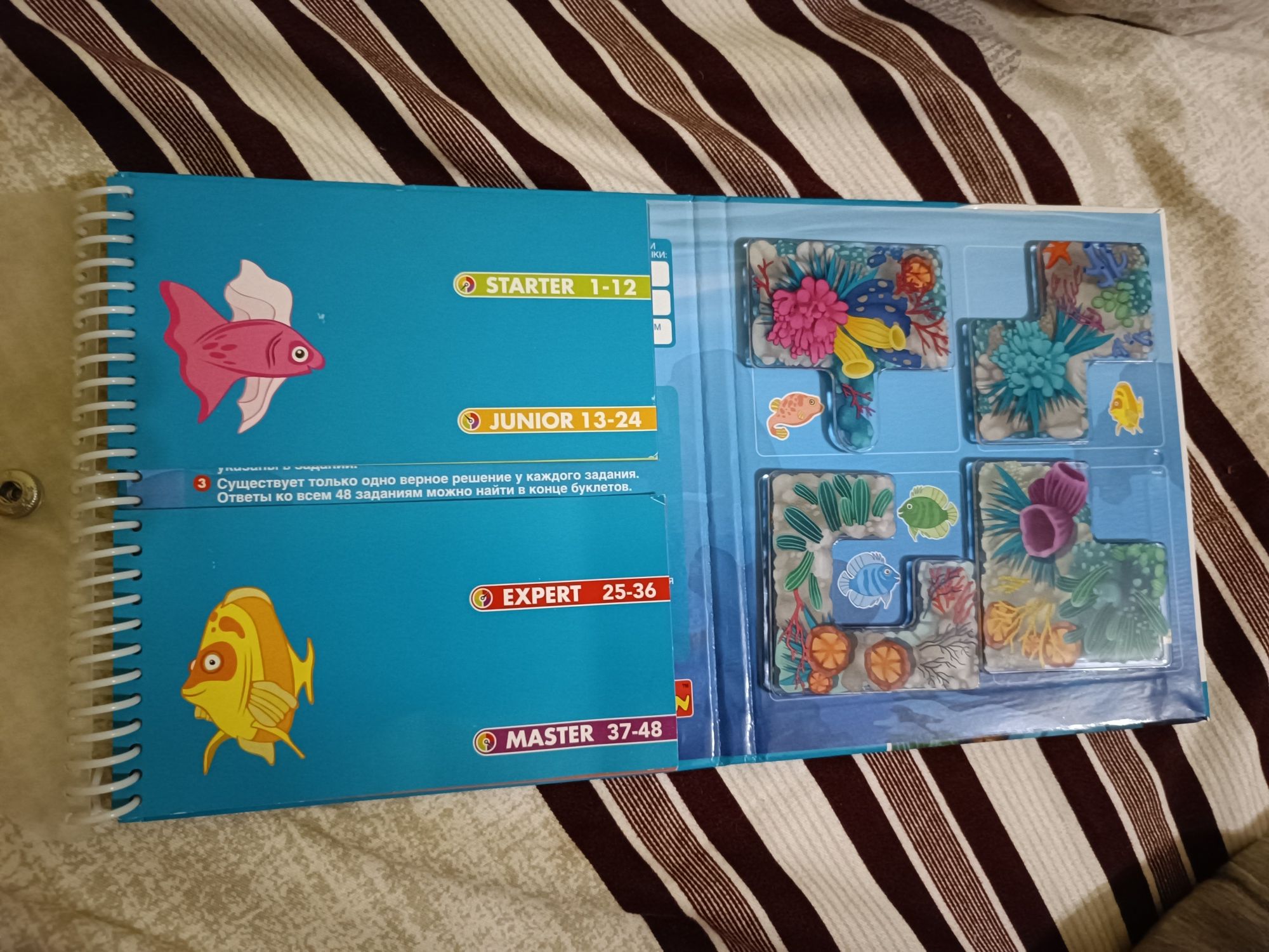 Развивающая книжка-игра от Bondibon Коралловый риф