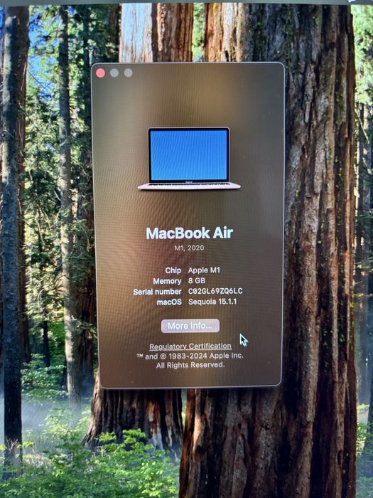 Macbook Air M1 8GB RAM 256 SSD Rose Gold