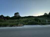 Teren de vanzare 2800 mp Valea Bradului Mihaesti