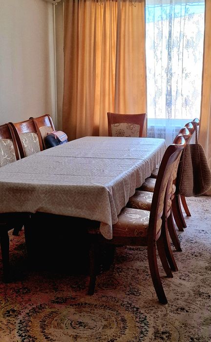 Продам стол и 10стульев
