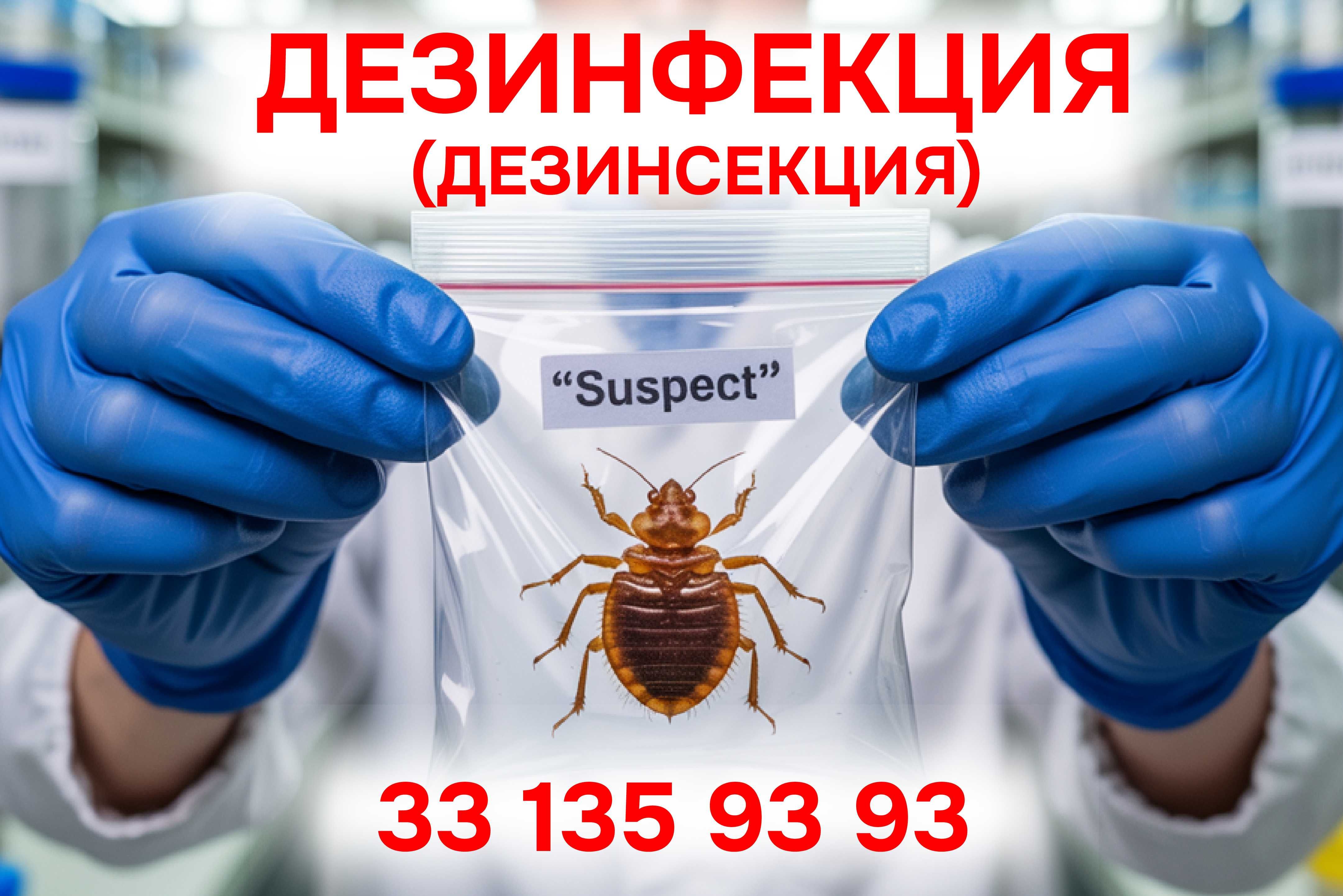 Профессиональная дезинфекция, дезинсекция и дератизация в Ташкенте.