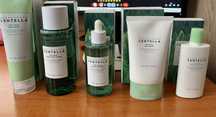 Skin 1004 Tea-Trica