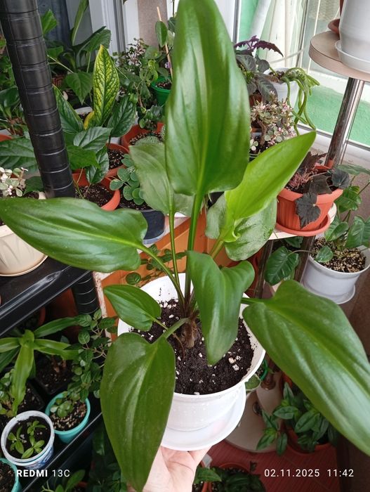 Каждый по 2500 тенге