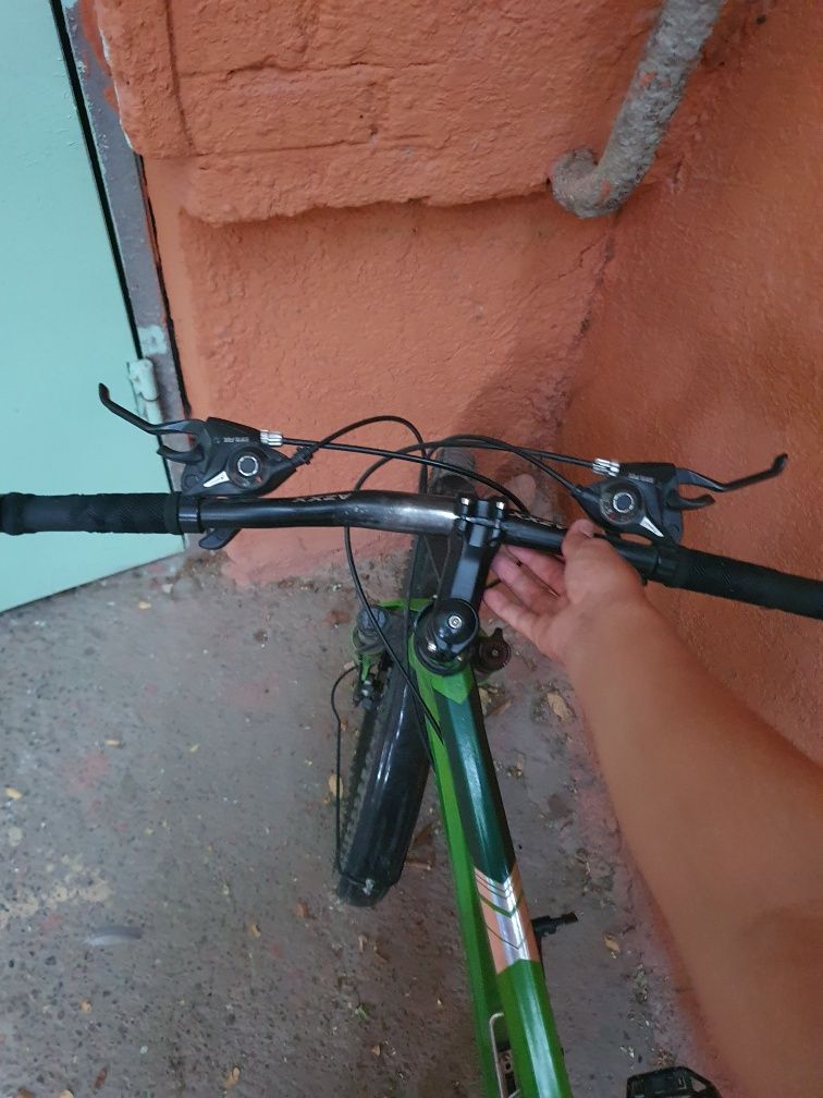 Velik sotiladi 26 razmer