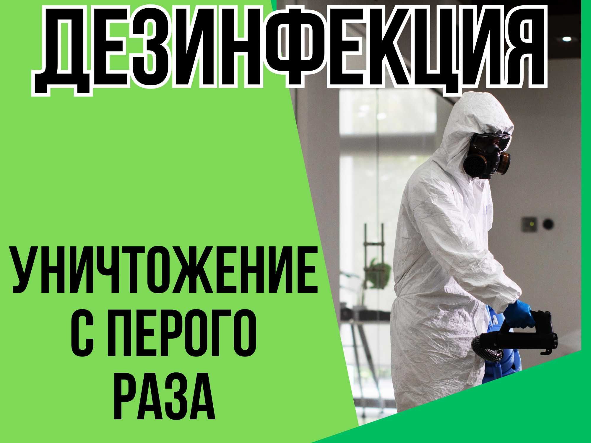 Дезинфекция клопы тараканы змей скорпионов мух и комаров насекомых