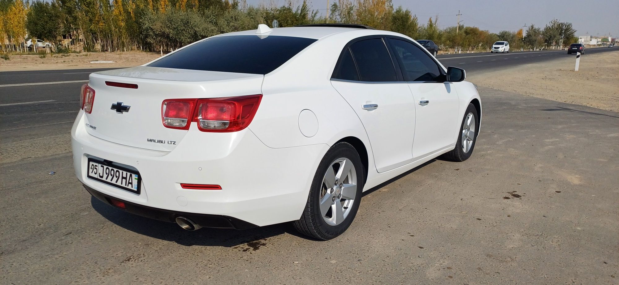 Malibu satiladi.