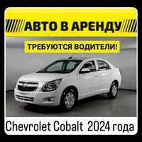 Аренда Chevrolet Cobalt 2024 года,Без пробега за 10 500 тнг. в Сутки!!