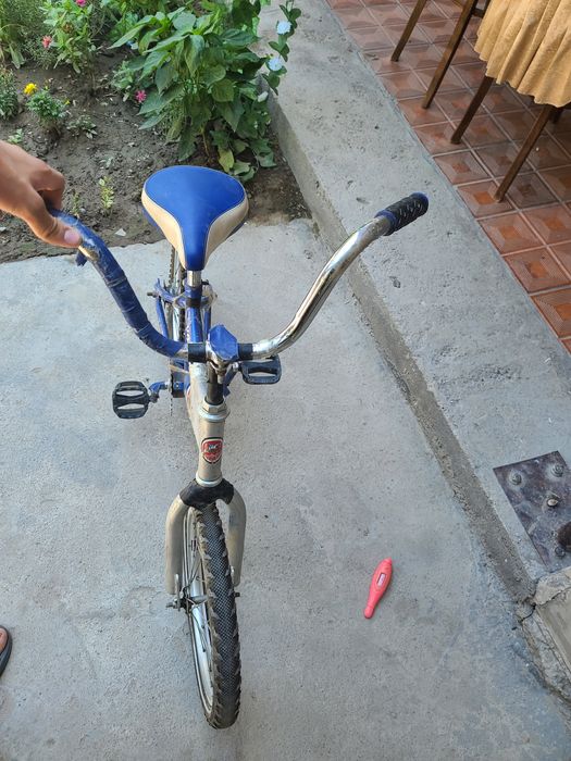 Velsaped 16 razmeri 5 yoshdan 10 yoshgacha