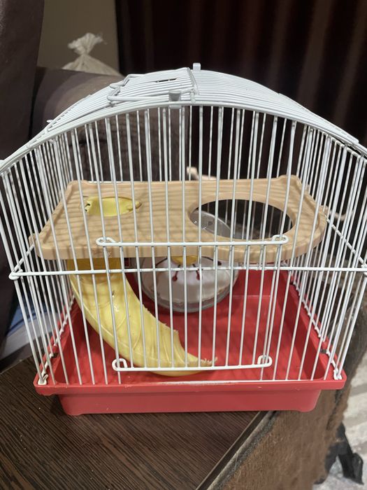 Клетки для грызунов