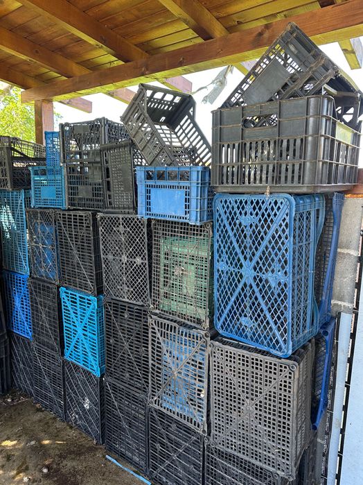 Каси ,касетки , пластмасови за зеленчук