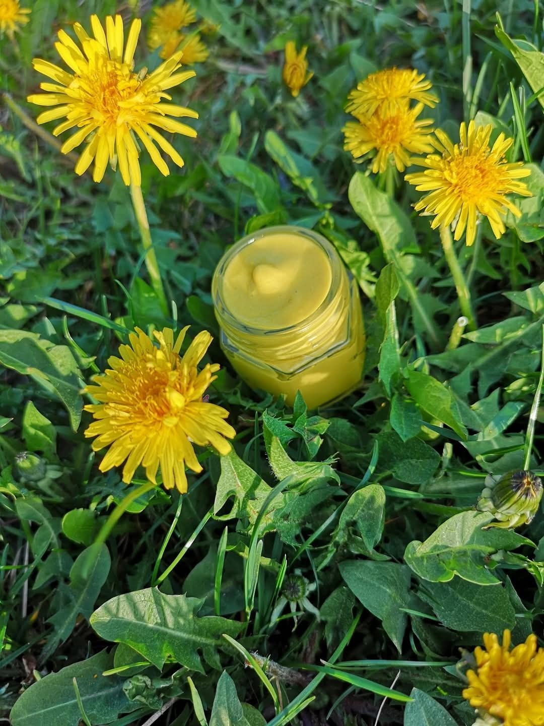 Crema, unguent păpădie