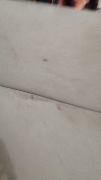 Холов ъгъл/Диван