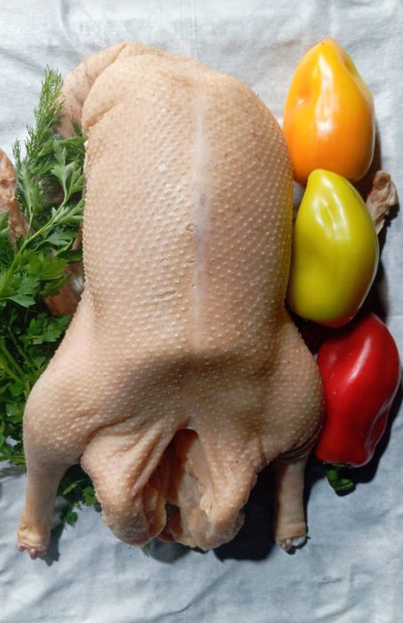 Продам тушки гусей
