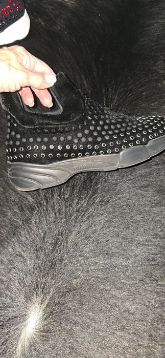 Pantofi sport originali pinko