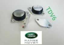 Kit EGR 2.7 TDV6/HDI/TD  3.0 TDV6/SDV6 Land Rover Range Rover Jaguar