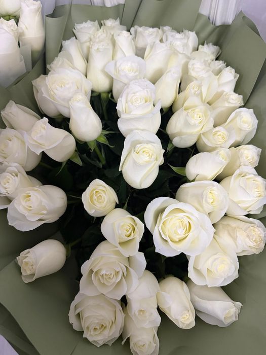 Гүлдер срочно сатам