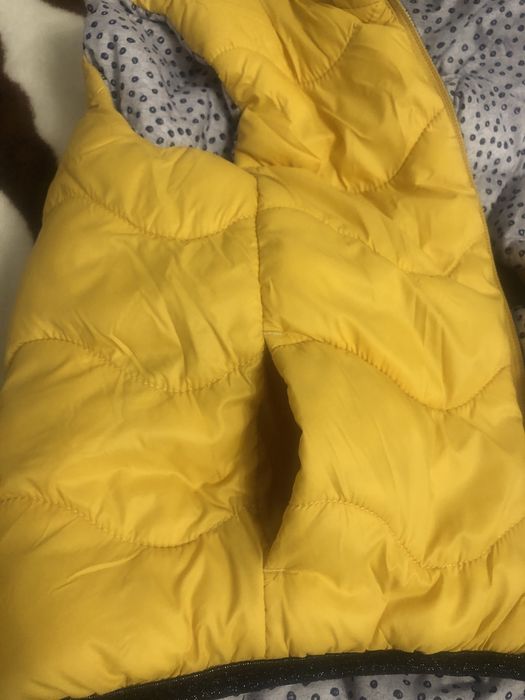 Vesta cu doua fețe !