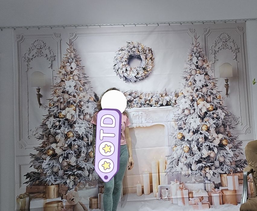 Fundal decor craciun studio folosti la o singura sedinta
