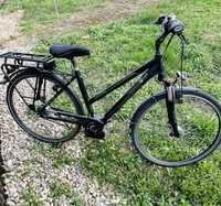 Bicicleta electrica pegasus