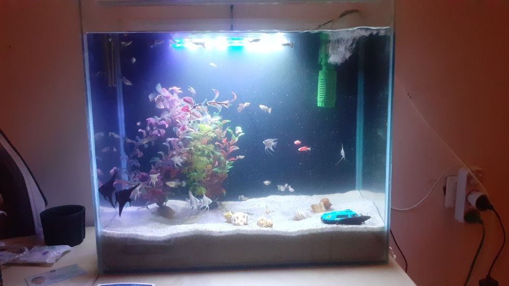 Продаются аквариум