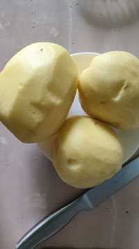 Картофель оптом и в розницу