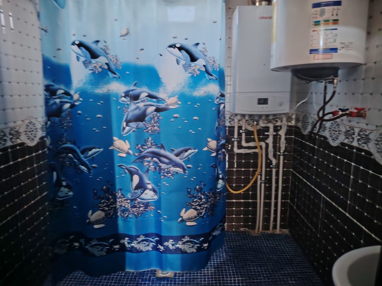 Oqtosh oylaviy dacha