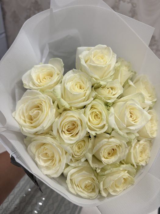 Балғын ақ раушан гүлдері